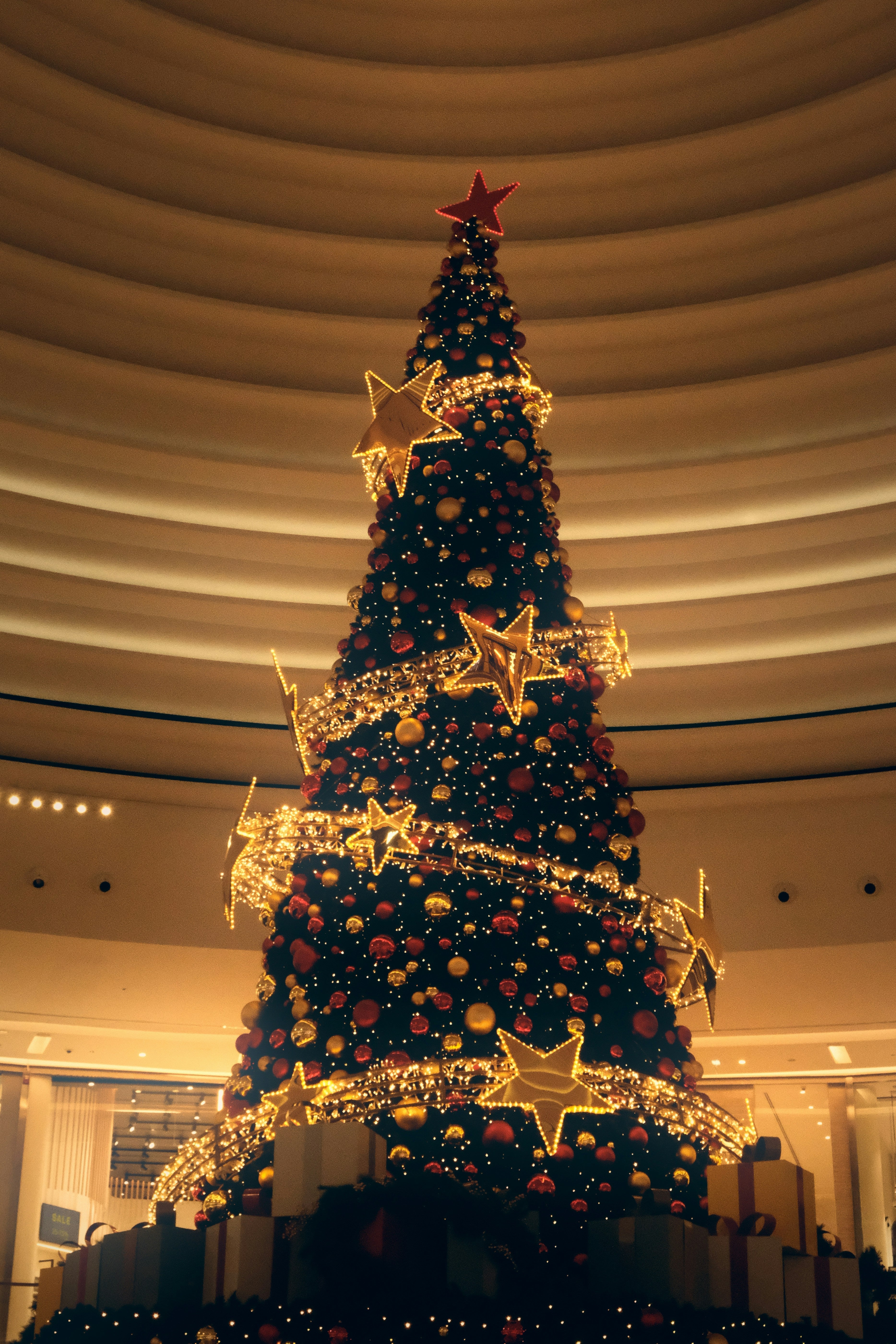 ✨ Festive Decor