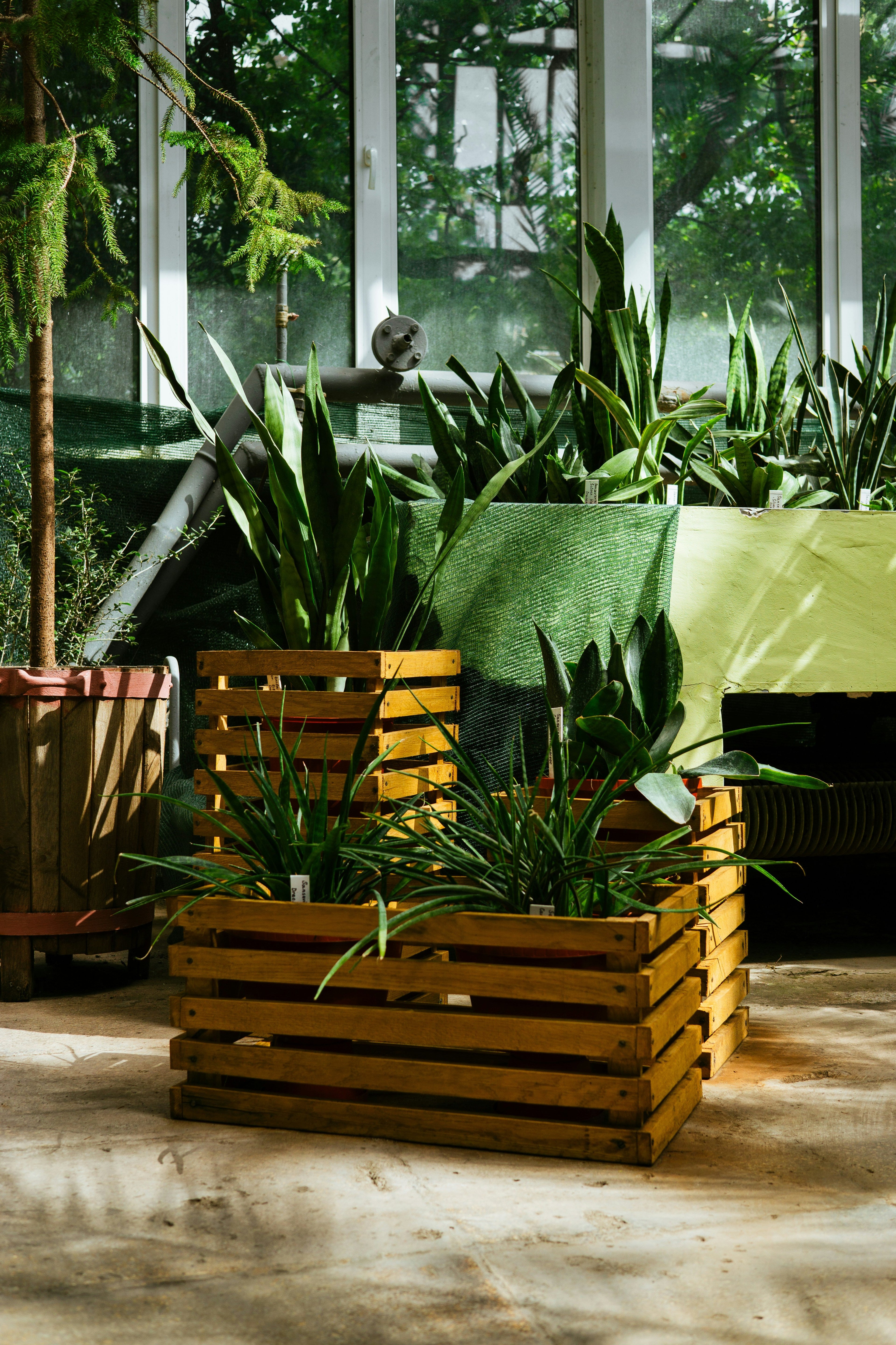 🌿 Green Living Decor